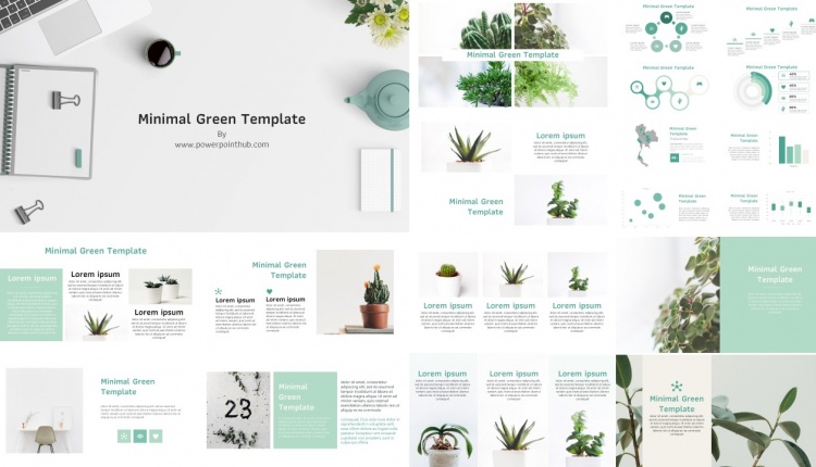 Minimal Green PowerPoint Template – Thumnail