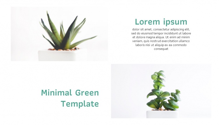 Minimal Green Template by PowerPointHub.com (10)