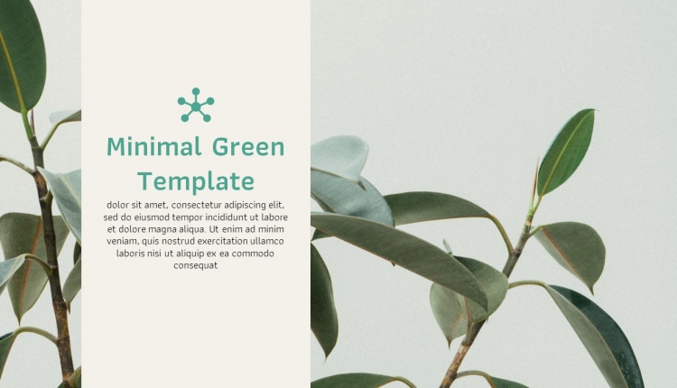 Minimal Green Template by PowerPointHub.com (12)