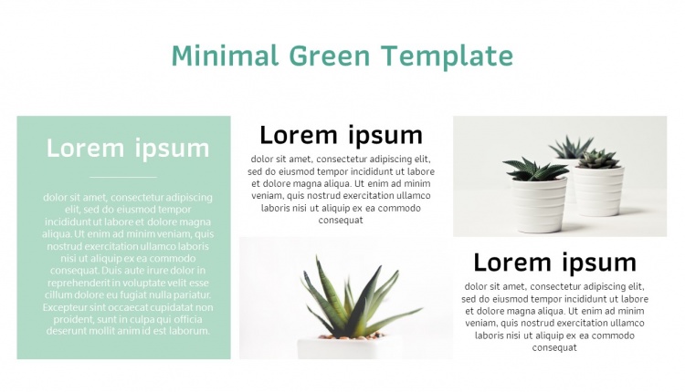 Minimal Green Template by PowerPointHub.com (2)