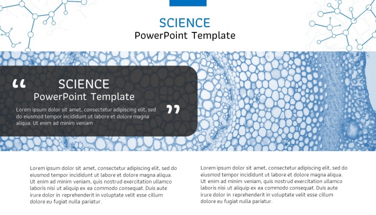 Science PowerPoint Template by PowerPointHub.com (3)
