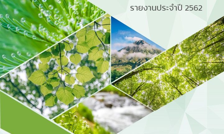 007 ปกรายงานสวย (4) - Powerpoint Hub 007 ปกรายงานสวย (4) - Powerpoint Hub