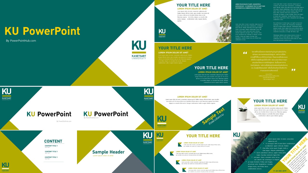 Unofficial Ku Powerpoint Template สำหรับงานนำเสนอ - Powerpoint Hub