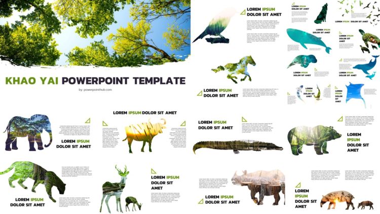 PowerPointHub – KhaoYai PowerPoint Template – thumbnail